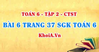 Bài 6 trang 37 SGK Toán 6 Tập 2 Chân trời sáng tạo